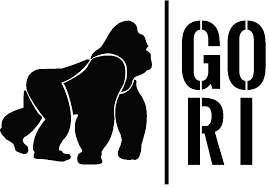 Gori Patagonia
